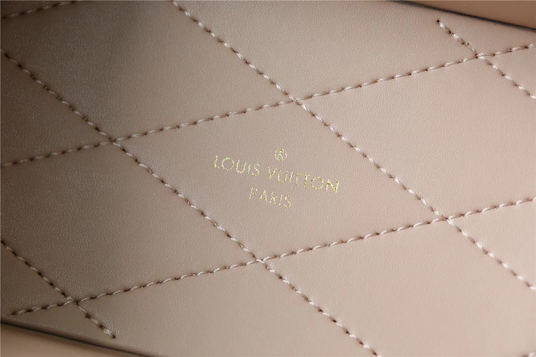 Louis Vuitton Camera Box Monogram Canvas By Nicolas Ghesquiere  Shoulder And Crossbody Bags