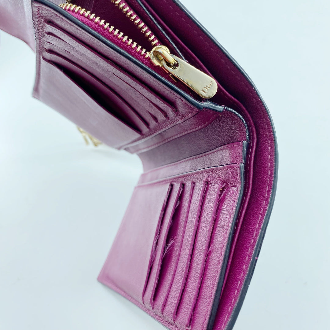 Christian Dior Small Wallet TWS pop
