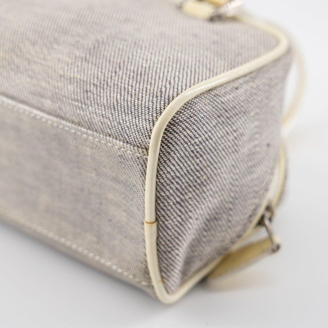 Christian Dior mini grey canvas handbag TSW pop
